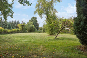 Blick in den Garten