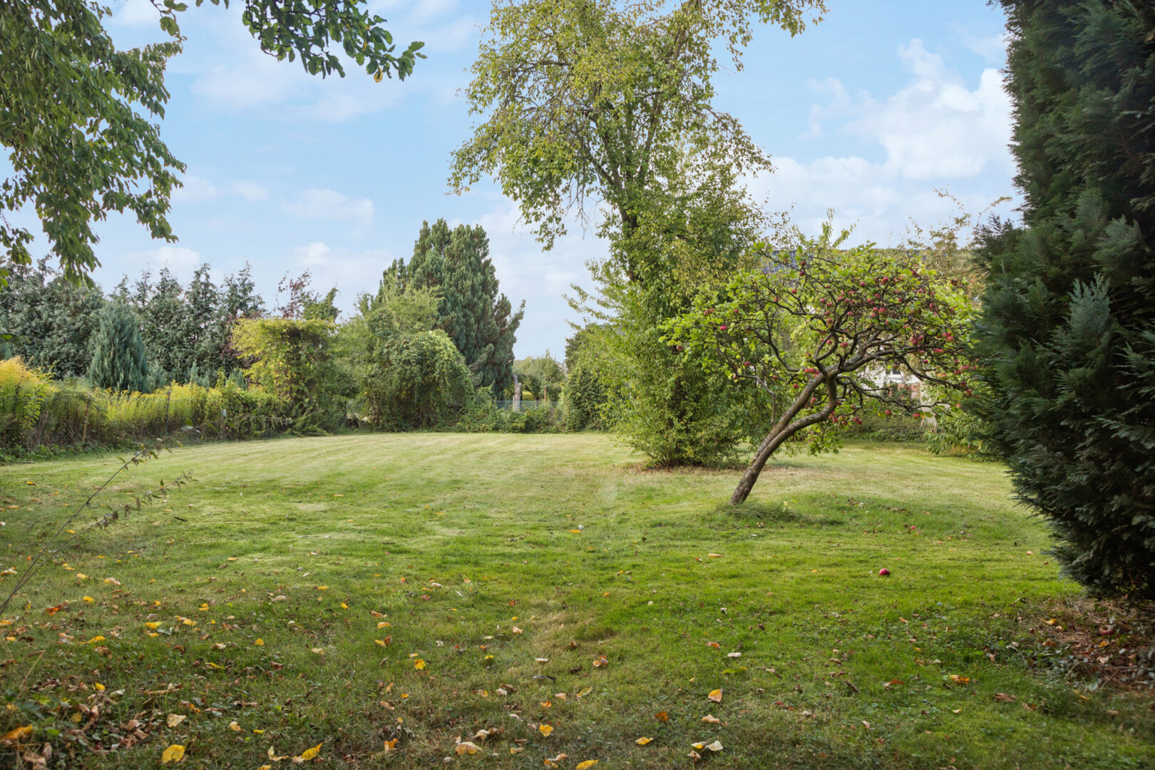 Blick in den Garten